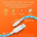 CA15 Gadjet Luminous LED Charge + Sync Cable_