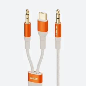 2-in-1 AUX + USB-C Audio Cable